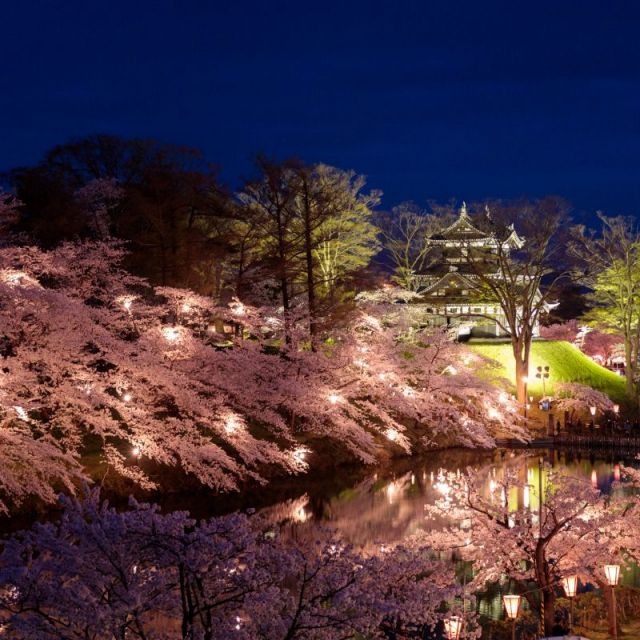 第100回高田城址公園観桜会